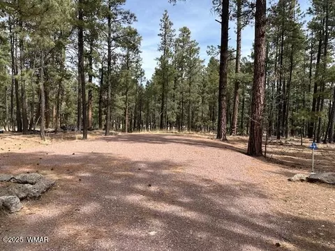 63 County Rd 2271, Alpine, AZ 85920 photo 2