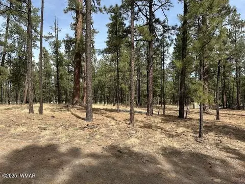 63 County Rd 2271, Alpine, AZ 85920 photo 9