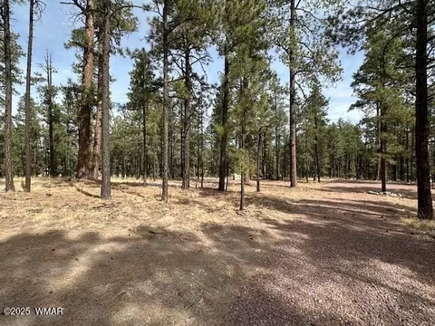 63 County Rd 2271, Alpine, AZ 85920 photo 4