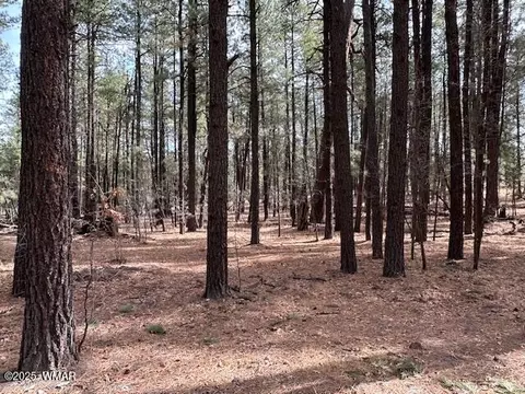 63 County Rd 2271, Alpine, AZ 85920 photo 6
