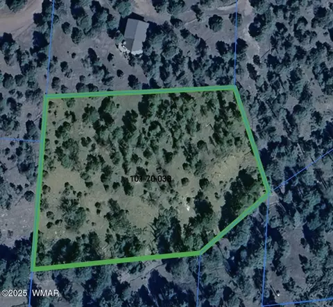 lot38 Noble Mountain Ests #LOT 38, Nutrioso, AZ 85932