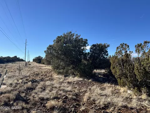 2036 Sitgreaves Ranch Rd, Show Low, AZ 85901