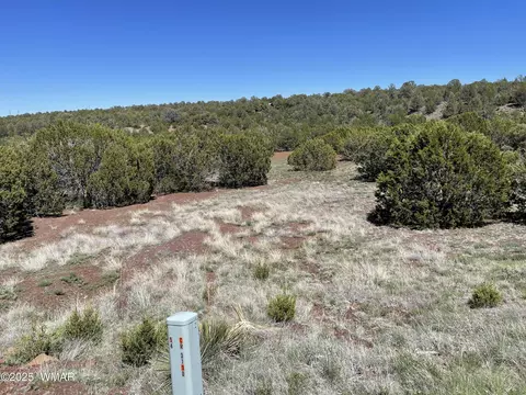 58 County Rd 3190, Vernon, AZ 85940