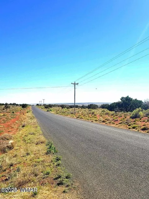 1545 County Rd, Concho, AZ 85924 photo 5