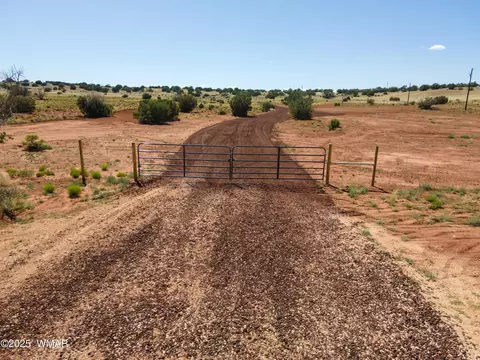 1545 County Rd, Concho, AZ 85924