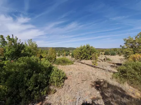 tbd White Cloud Ln, Pinedale, AZ 85934