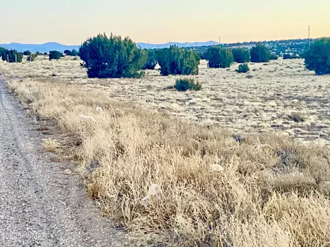 tbd Cr 5106, Concho, AZ 85924