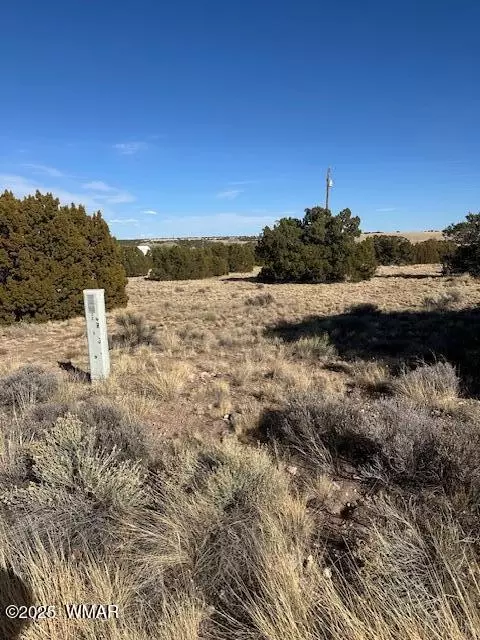 62 Dawn Ln, Concho, AZ 85924