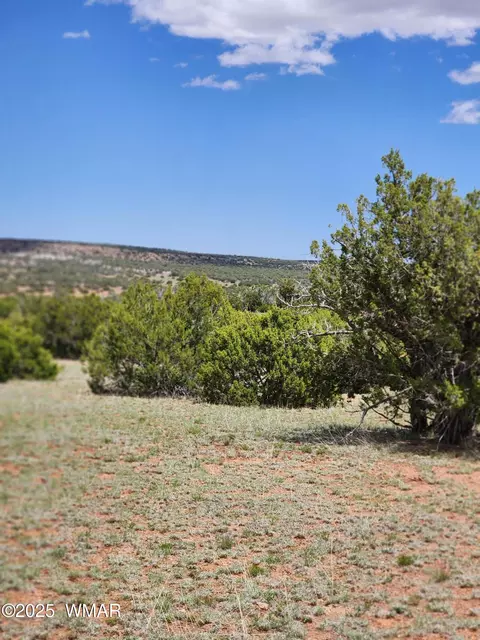 004 Raven # B, Show Low, AZ 85901