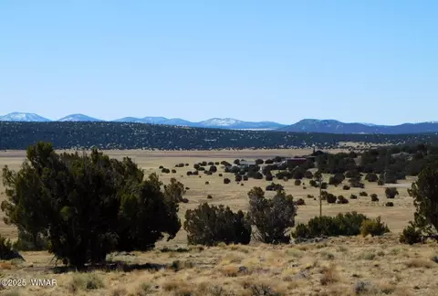 tbd County Road 8500, Concho Valley, AZ 85924