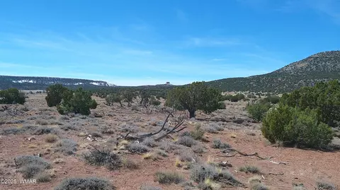 tbd Windsor Valley Rnch, Concho, AZ 85924