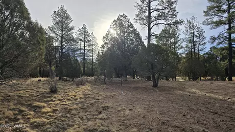 2218 Mountain Lion Ln, Overgaard, AZ 85933