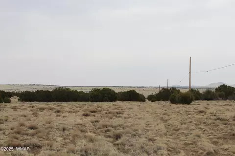 21 23 Cr 8004, Concho, AZ 85924