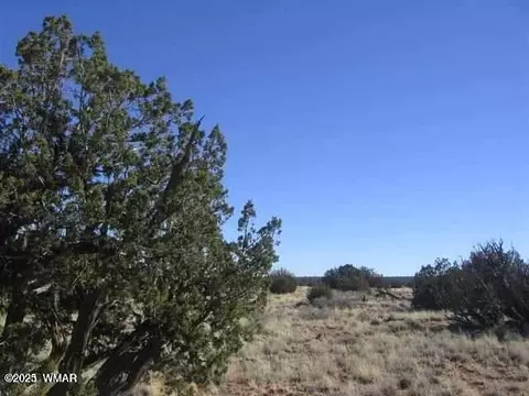 Sec 5 T14n, Heber, AZ 85928