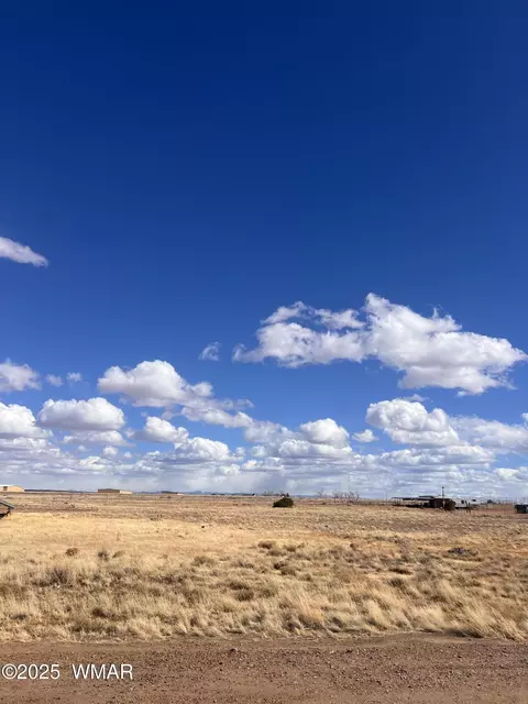 437 S Foothills Blvd, Taylor, AZ 85939
