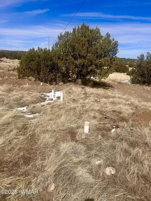 41 Antelope Rd, Concho, AZ 85924 photo 12