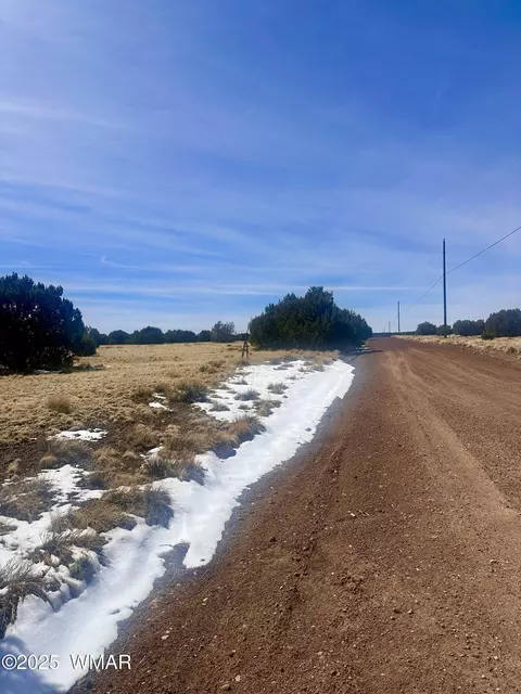 41 Antelope Rd, Concho, AZ 85924 photo 7