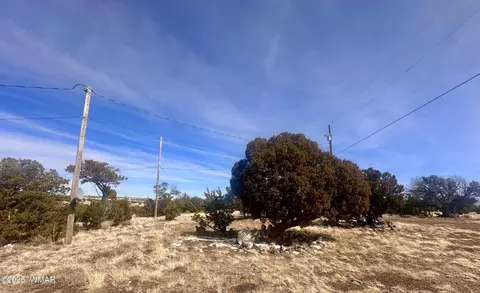 41 Antelope Rd, Concho, AZ 85924 photo 17