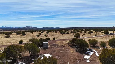 41 Antelope Rd, Concho, AZ 85924 photo 4