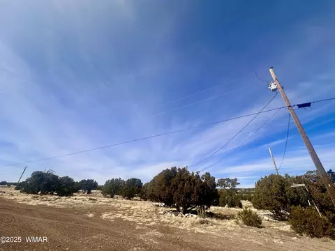 41 Antelope Rd, Concho, AZ 85924 photo 15