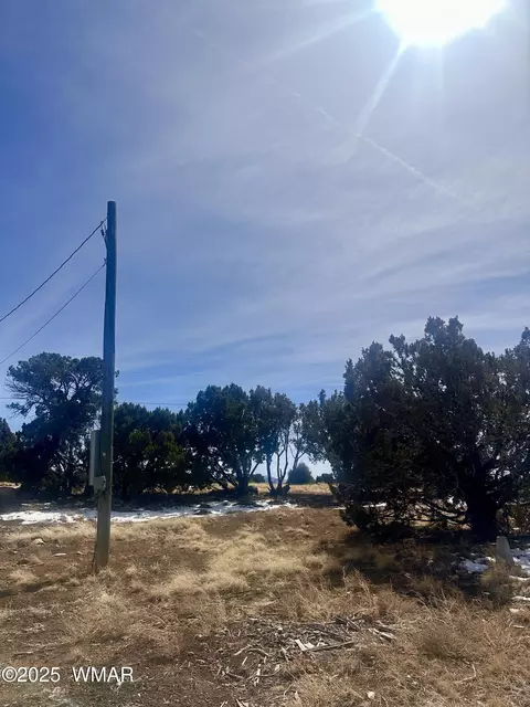 41 Antelope Rd, Concho, AZ 85924 photo 10