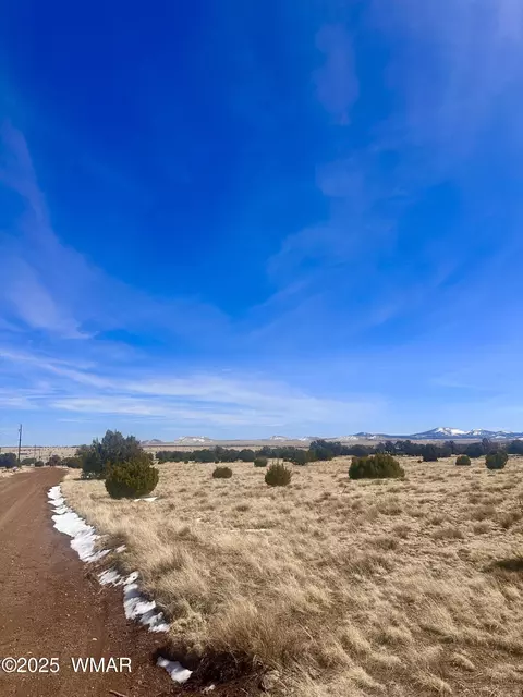 41 Antelope Rd, Concho, AZ 85924 photo 8