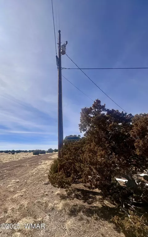 41 Antelope Rd, Concho, AZ 85924 photo 14