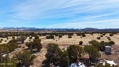 41 Antelope Rd, Concho, AZ 85924 photo 20