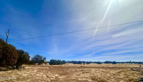 41 Antelope Rd, Concho, AZ 85924 photo 18