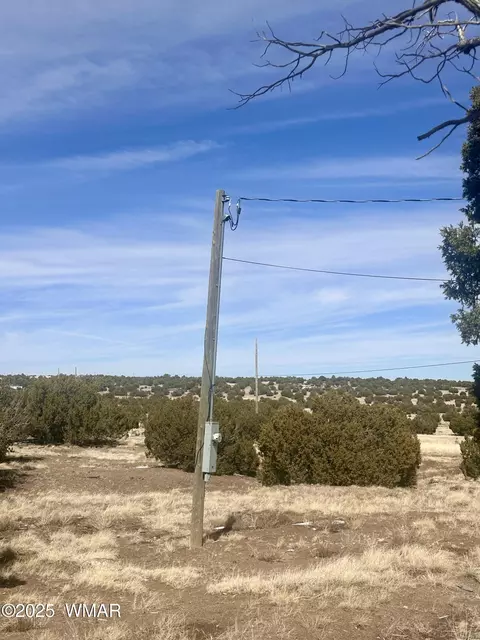 41 Antelope Rd, Concho, AZ 85924 photo 19