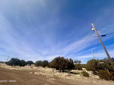 41 Antelope Rd, Concho, AZ 85924 photo 15