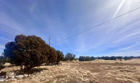 41 Antelope Rd, Concho, AZ 85924 photo 16