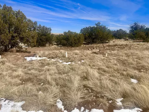 41 Antelope Rd, Concho, AZ 85924 photo 11
