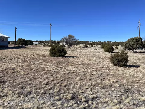 63 Alpine Ln, Concho, AZ 85924