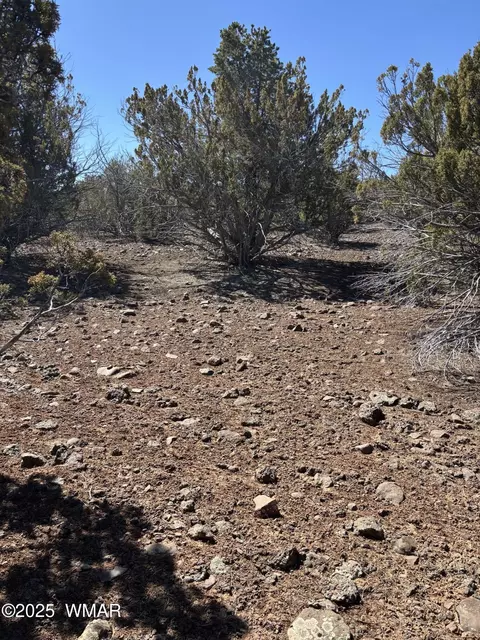239 Geronimo Dr, Concho, AZ 85924 photo 3