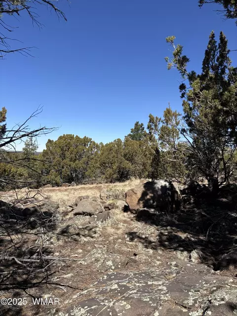 239 Geronimo Dr, Concho, AZ 85924 photo 2