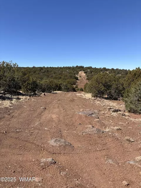30 County Rd, Concho, AZ 85924 photo 2