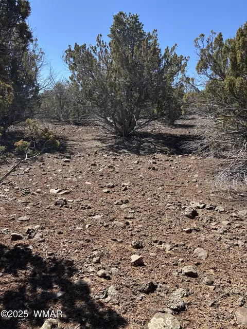 30 County Rd, Concho, AZ 85924 photo 3