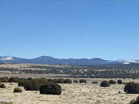 tbd Lot 185 Lakeview Rnch UNIT 4, Concho, AZ 85924