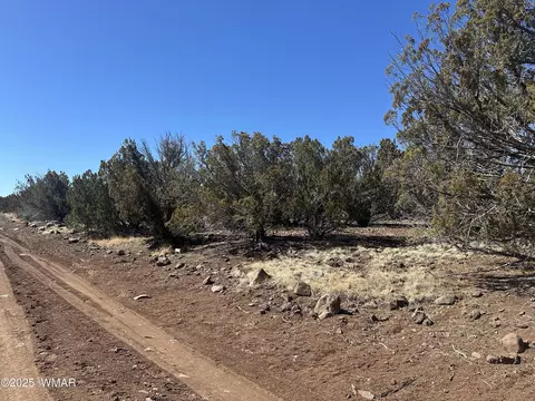 19 County Road 8230, Concho, AZ 85924