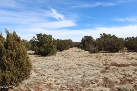lot092 C County Road 8238, Concho, AZ 85924