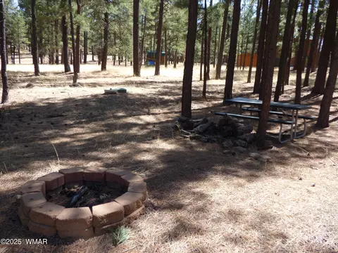 16 County Road 2087, Alpine, AZ 85920