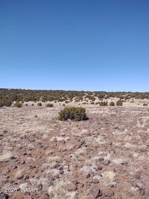 tbd Show Low Pnes #5, Concho, AZ 85924