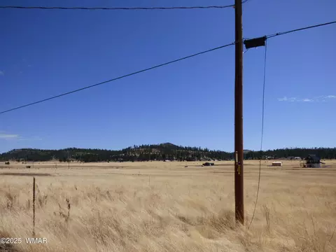 34 County Road 2100, Alpine, AZ 85920
