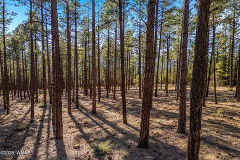 tbd Wilderness Dr, Lakeside, AZ 85929