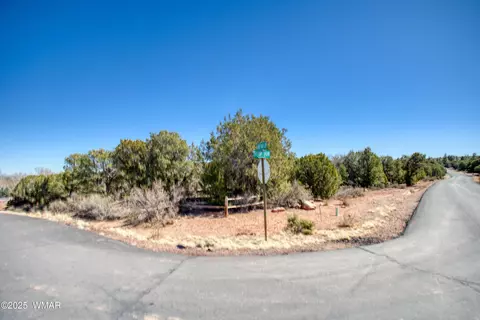 6745 Cheney Ranch Loop, Show Low, AZ 85901 photo 5