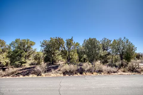 6745 Cheney Ranch Loop, Show Low, AZ 85901 photo 8