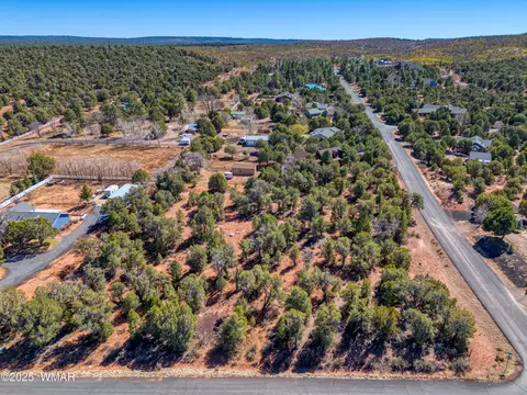 6745 Cheney Ranch Loop, Show Low, AZ 85901 photo 9