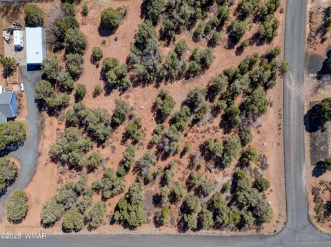 6745 Cheney Ranch Loop, Show Low, AZ 85901 photo 10