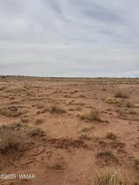 5103 Windmill Ln, Snowflake, AZ 85937 photo 9